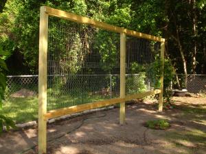 Grapevine Arbor/fence